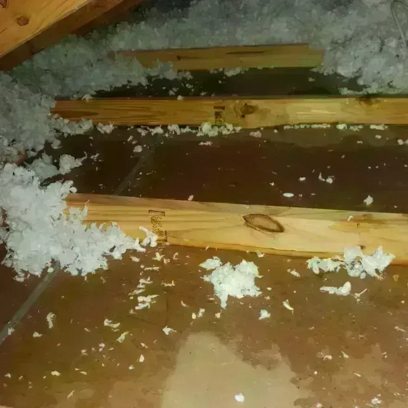 Attic Water Damage in Sevierville, TN